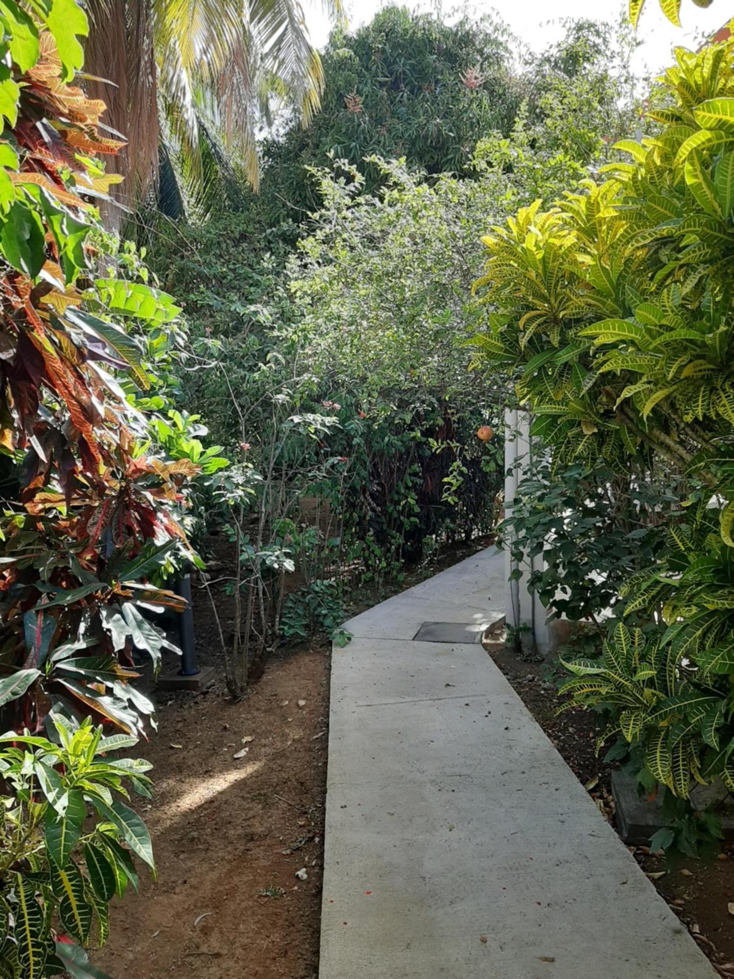 Residence Mon Refuge Grande Anse Exterior photo